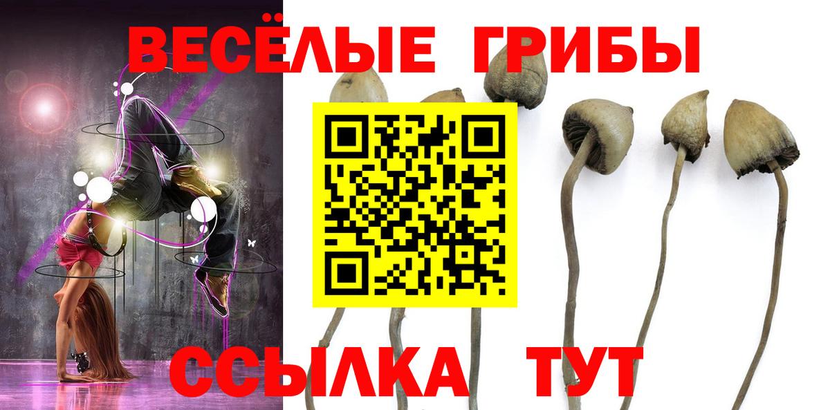 Псилоцибиновые грибы Magic Shrooms  Вход с VPN  Шебекино  Псилоцибиновые грибы MAGIC MUSHROOMS 