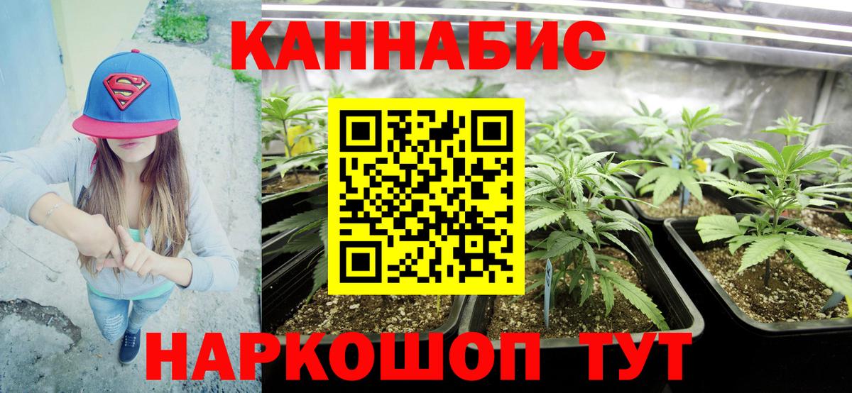 Конопля семена  Марихуана MAZAR  Шебекино  Вход с VPN  Конопля гибрид 